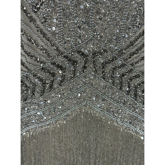 NWT Lara Silver Fringe Beaded Mini Cocktail Dress Short Sleeve V-Neck Size 2 - Picture 8 of 11